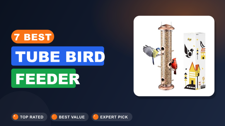 7 Best Tube Bird Feeder