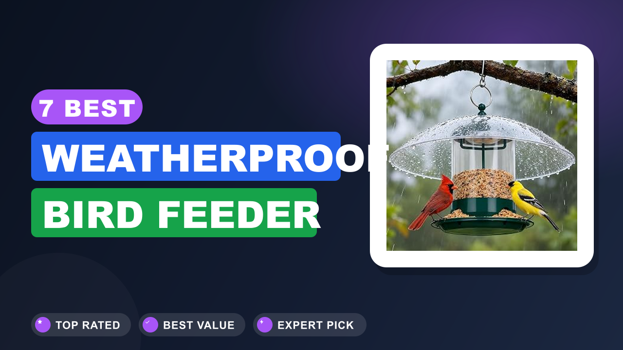 7 Best Weatherproof Bird Feeder