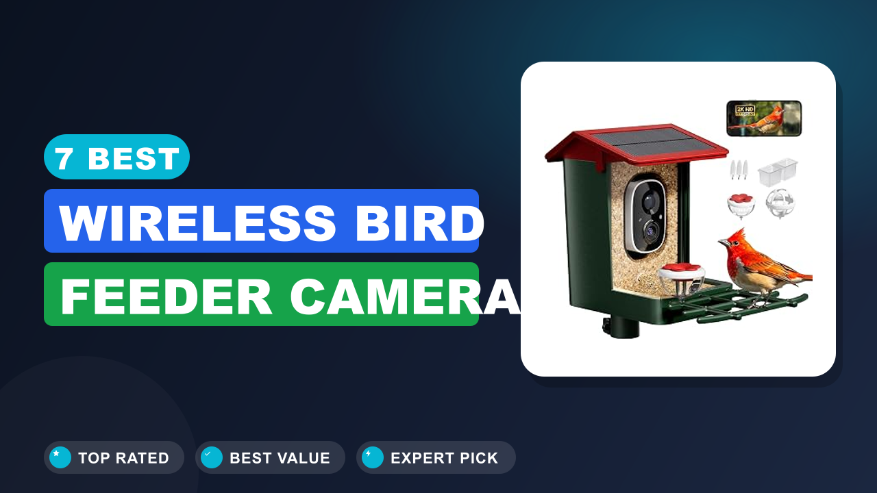 7 Best Wireless Bird Feeder Camera