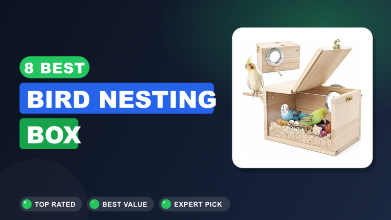8 Best Bird Nesting Box