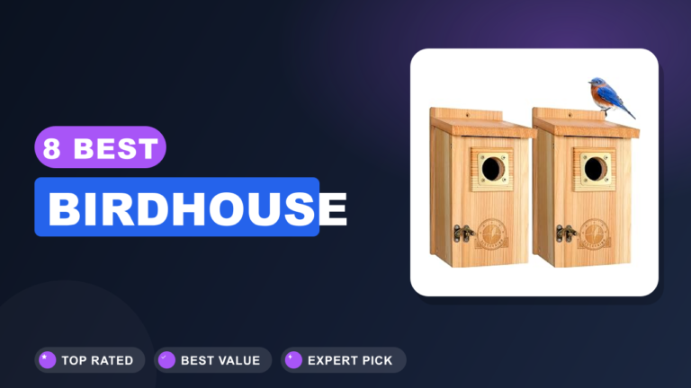 8 Best Birdhouse