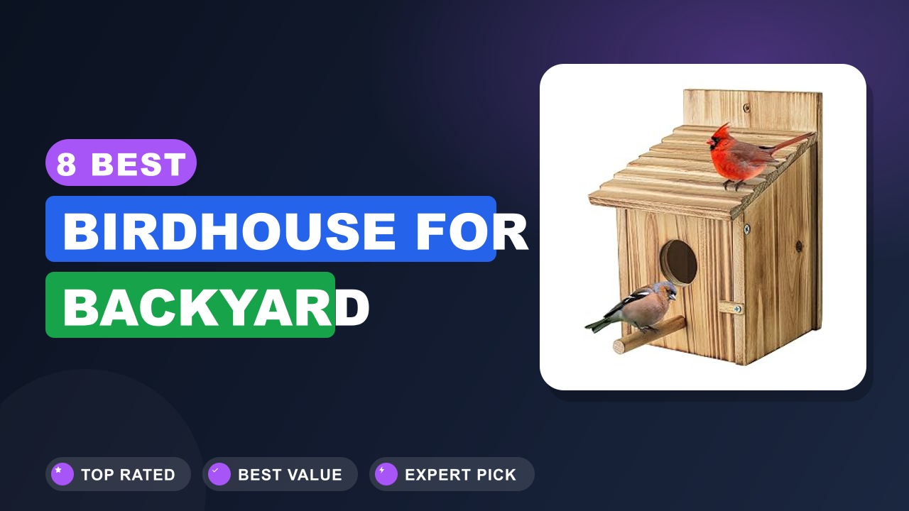 8 Best Birdhouse for Backyard