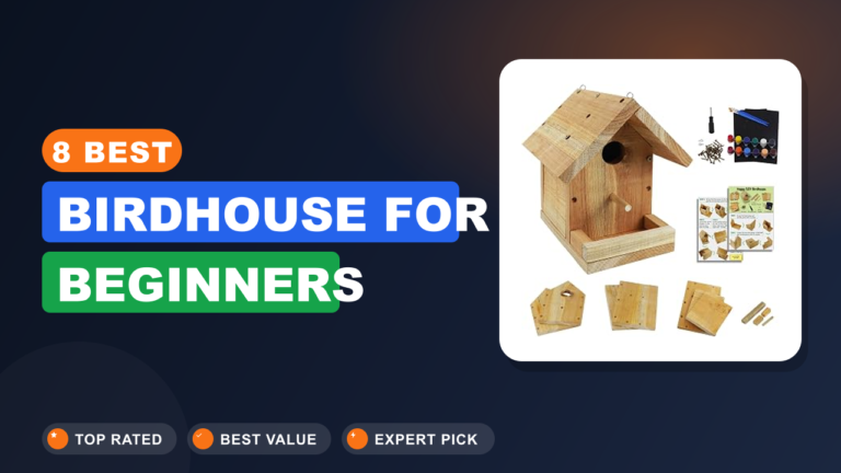 8 Best Birdhouse for Beginners