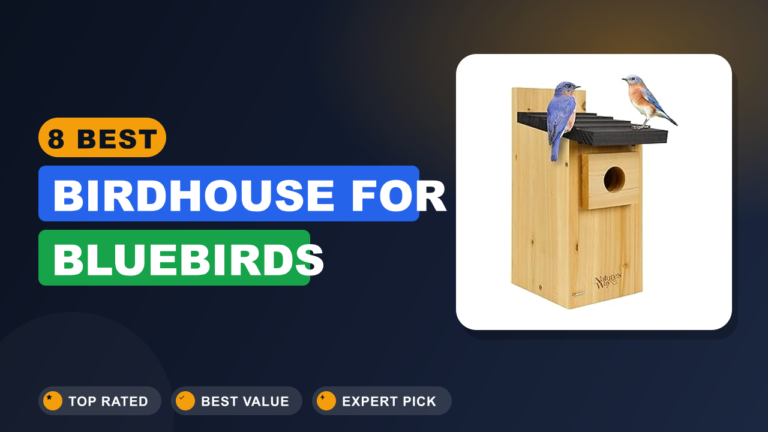 8 Best Birdhouse for Bluebirds