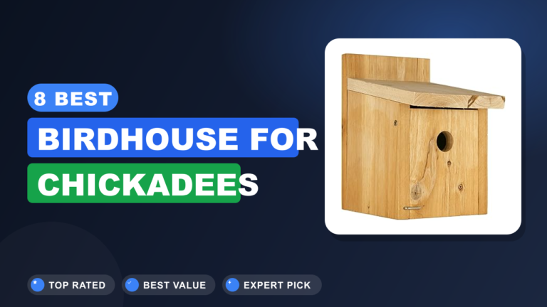 8 Best Birdhouse for Chickadees