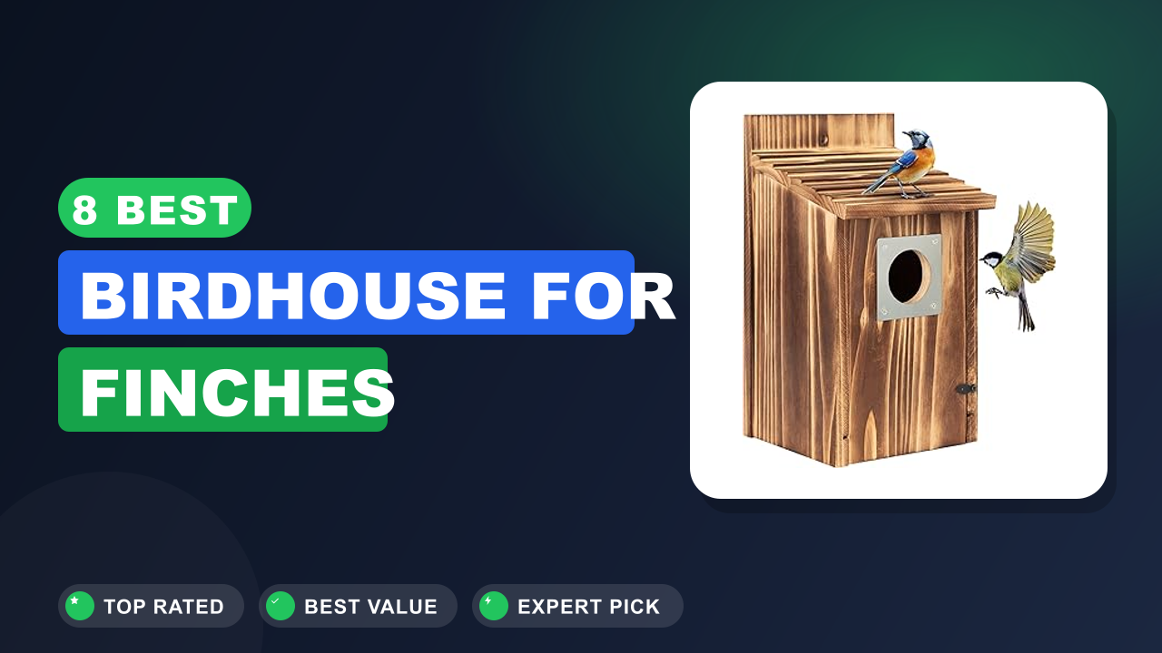 8 Best Birdhouse for Finches