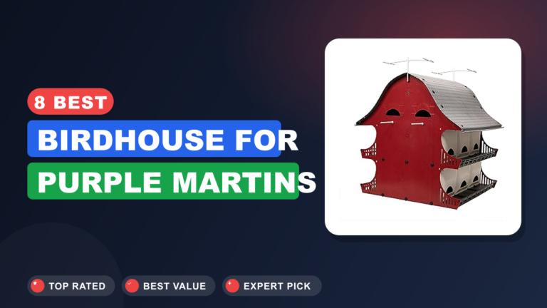 8 Best Birdhouse for Purple Martins