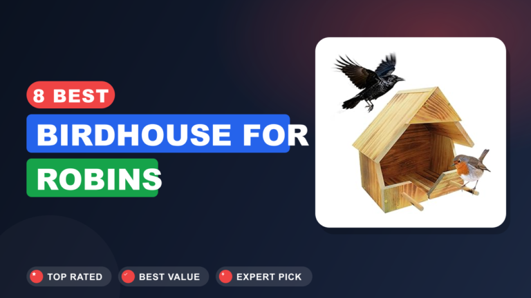 8 Best Birdhouse for Robins