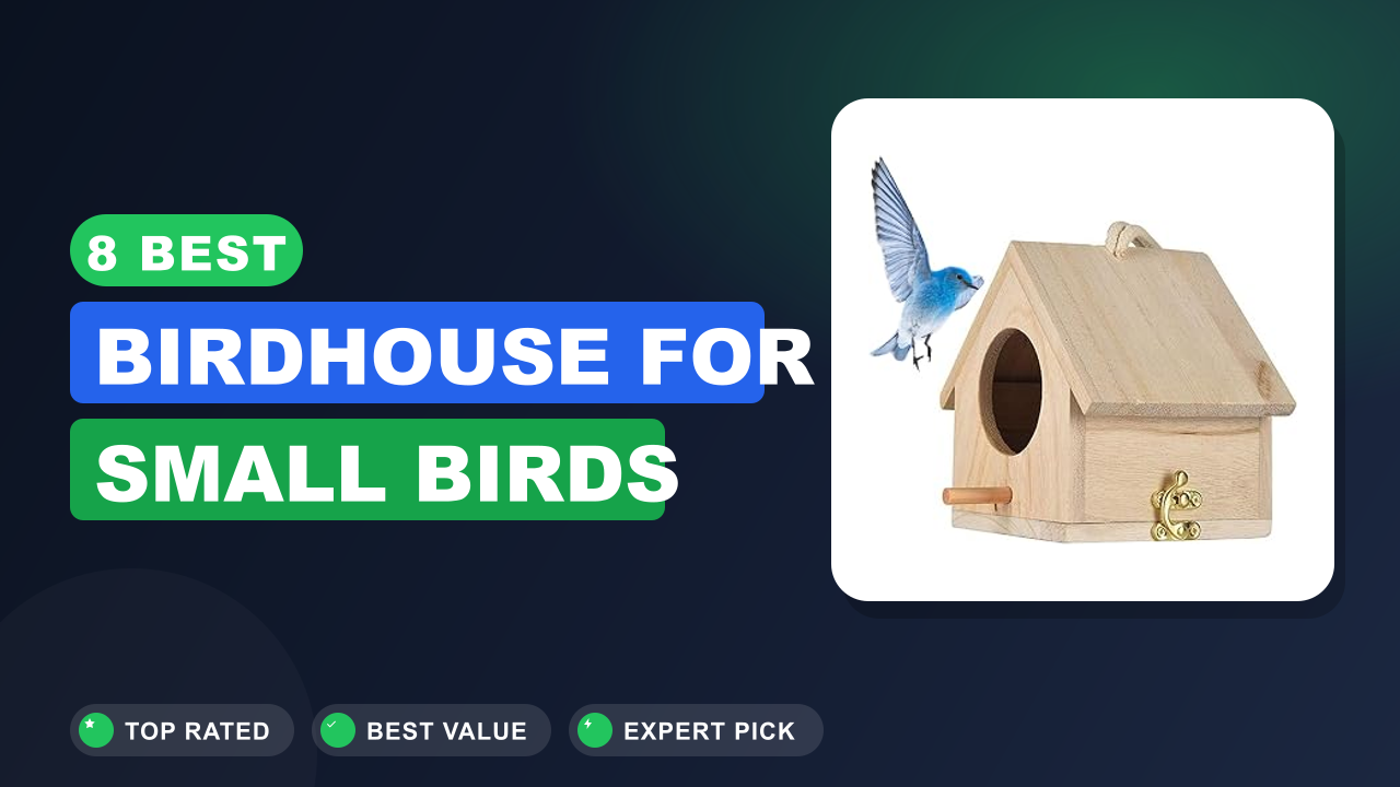 8 Best Birdhouse for Small Birds