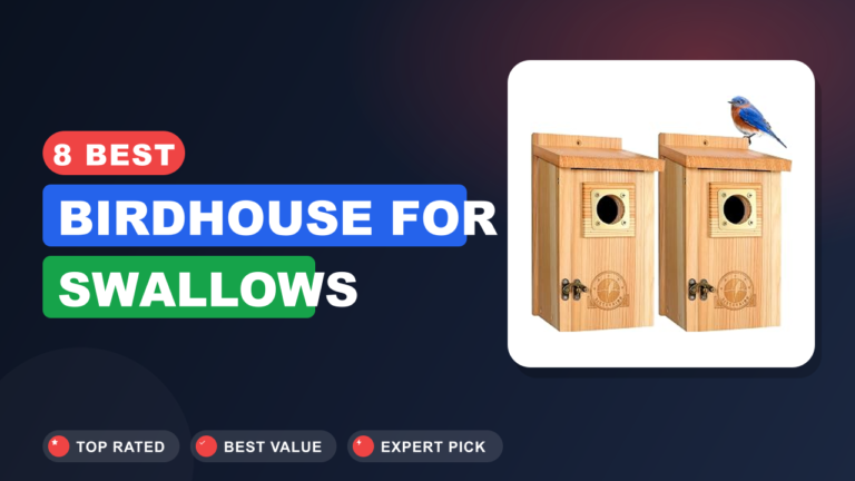 8 Best Birdhouse for Swallows