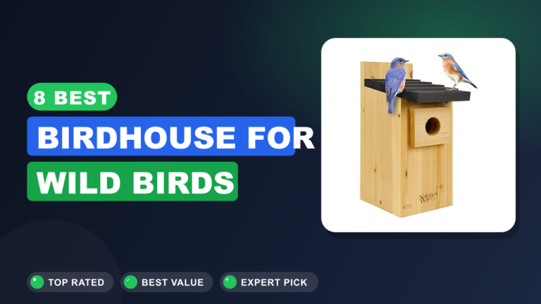 8 Best Birdhouse for Wild Birds
