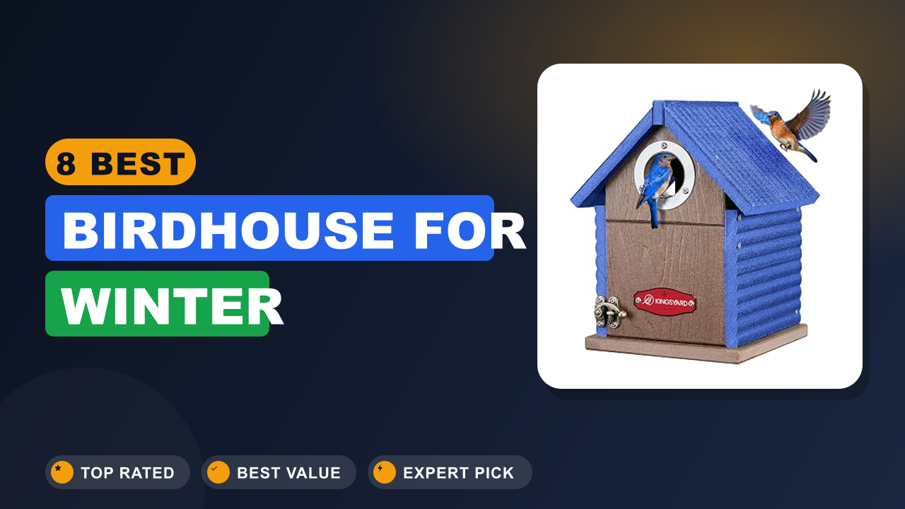8 Best Birdhouse for Winter