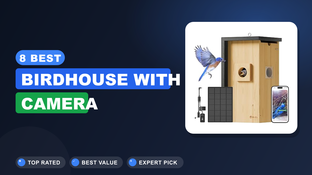 8 Best Birdhouse With Camera