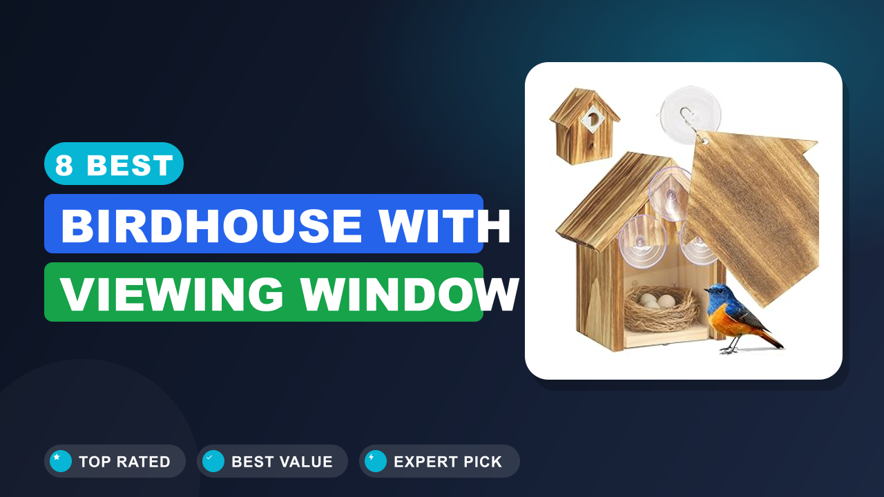 8 Best Birdhouse With Viewing Window
