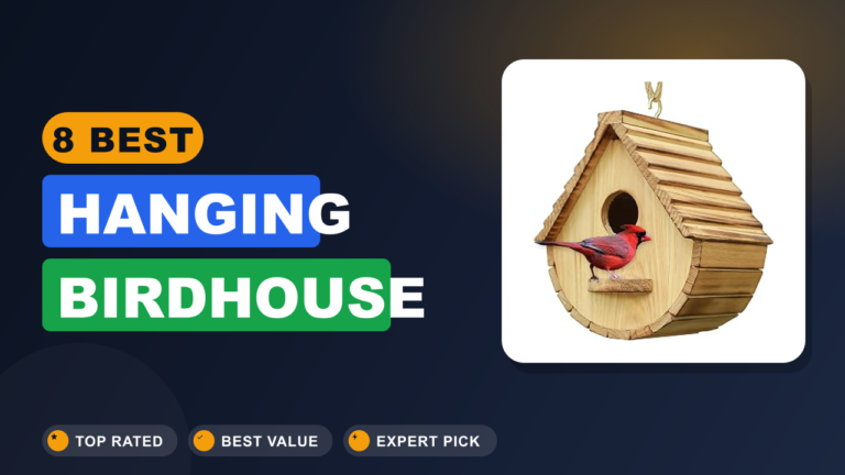 8 Best Hanging Birdhouse