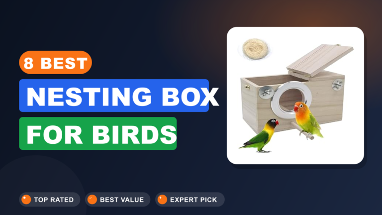 8 Best Nesting Box for Birds