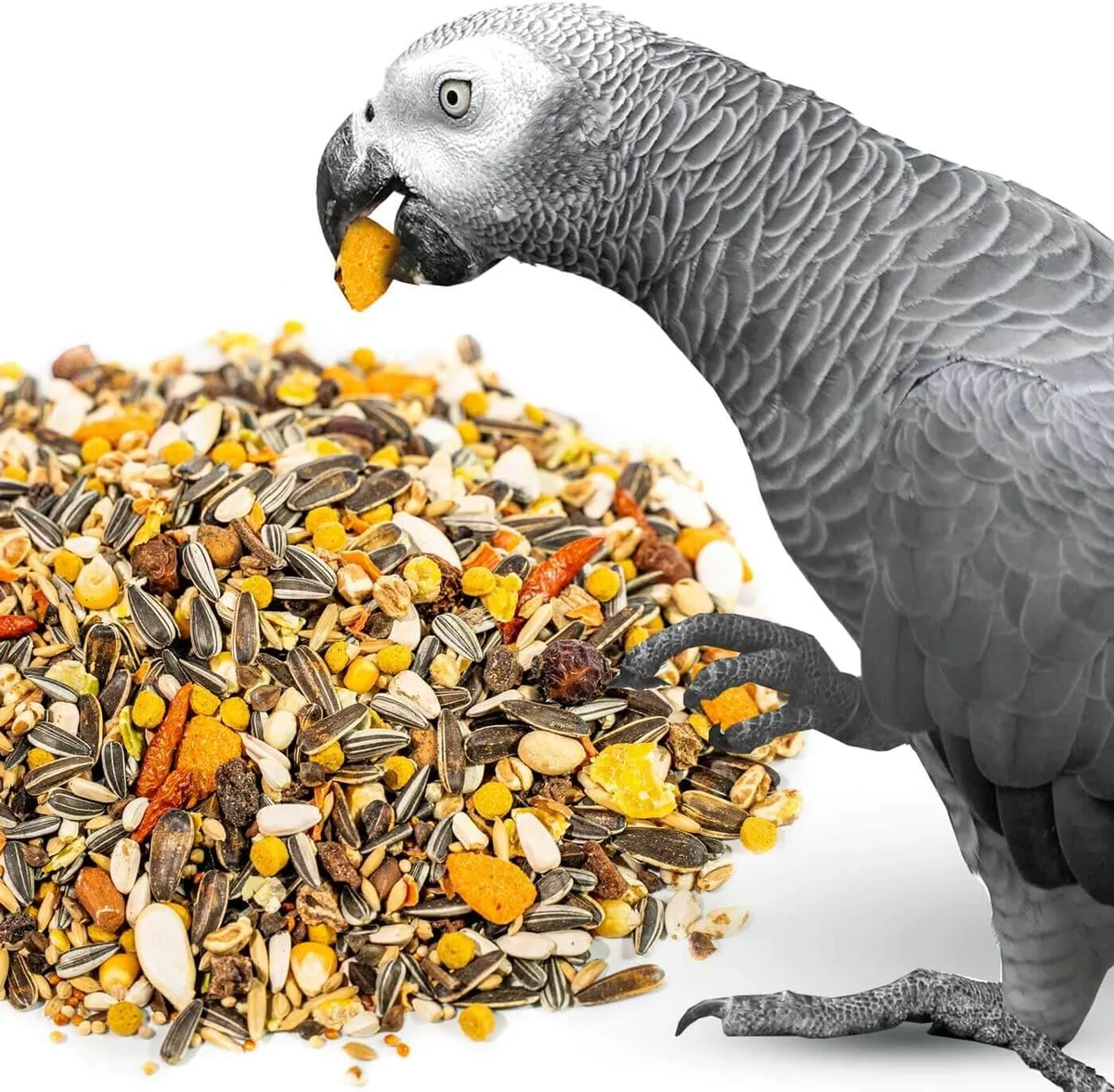 African grey parrot diet