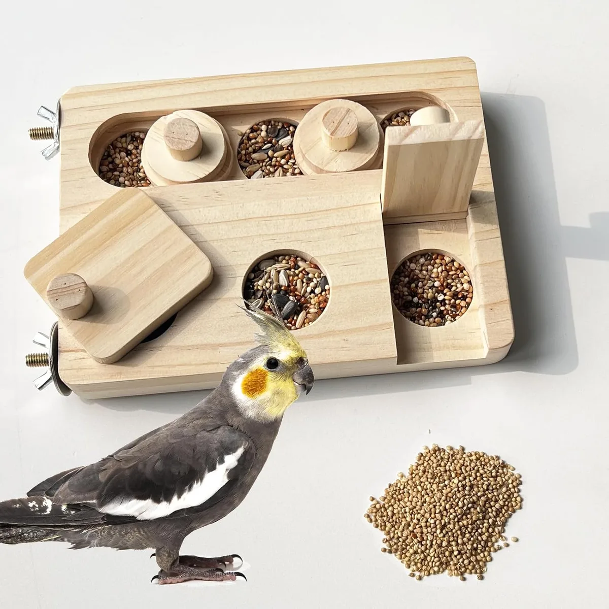 Avian husbandry