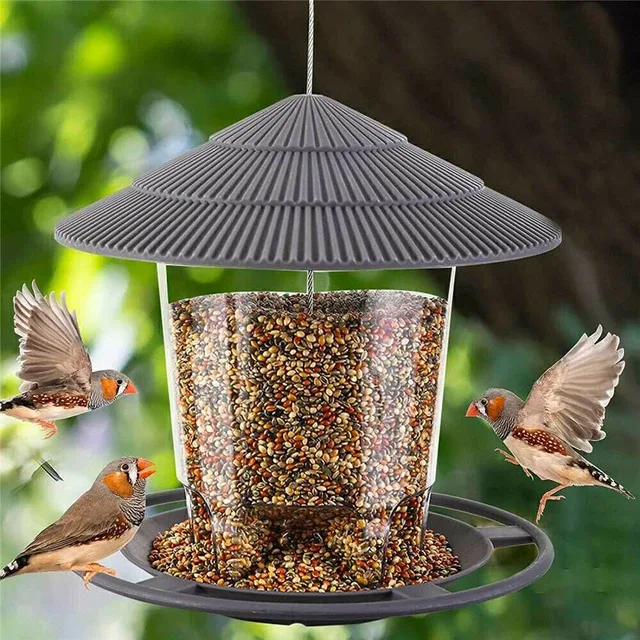 best food for wild birds