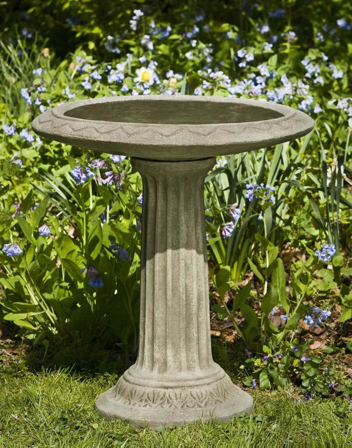 bird bath water