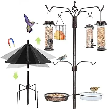 bird feeder territorial disputes