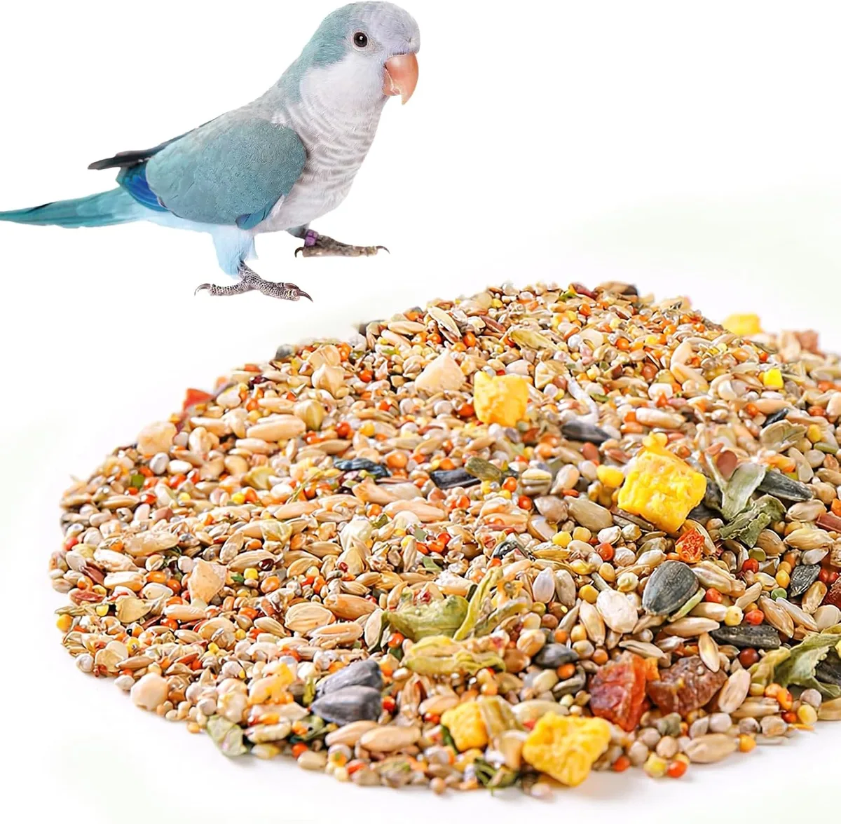 bird pellets
