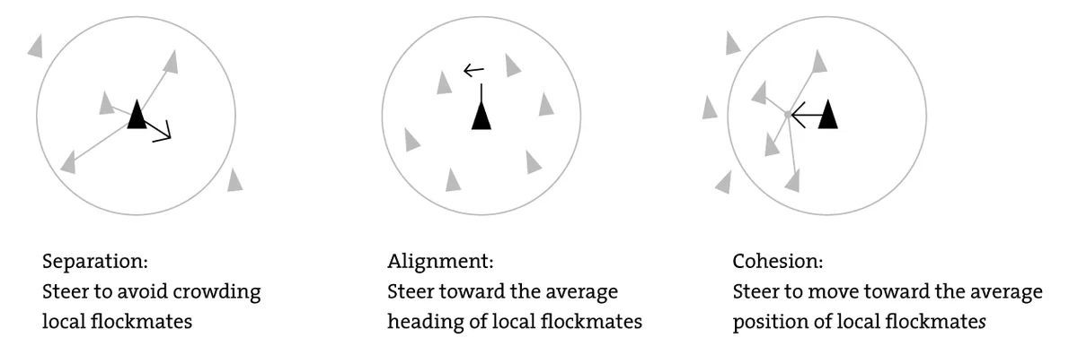 boids simulation model