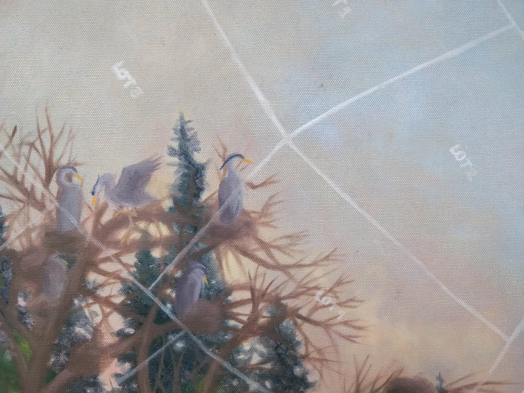 Colony (Heron)