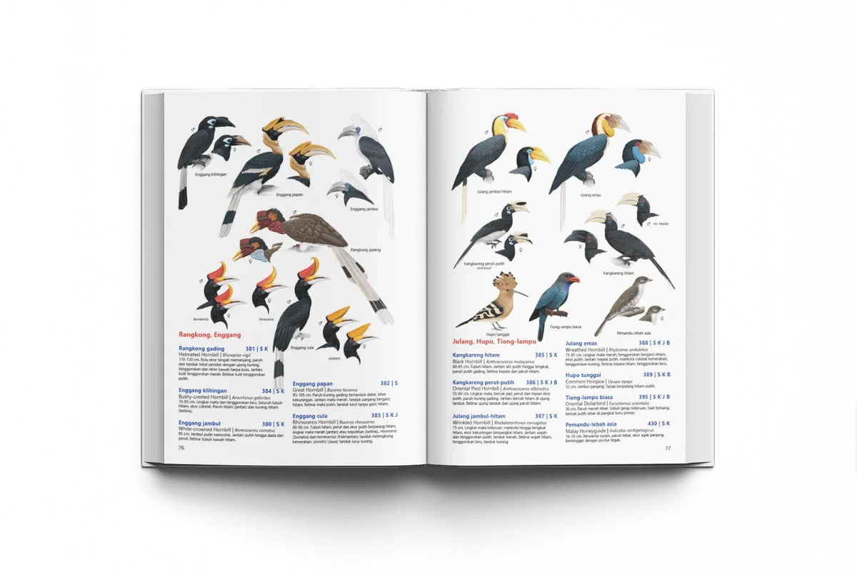 different types of birds