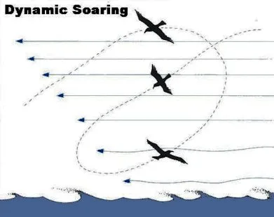 Dynamic soaring