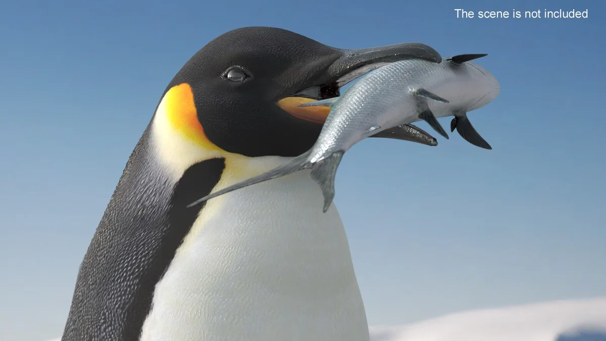 emperor penguin diet