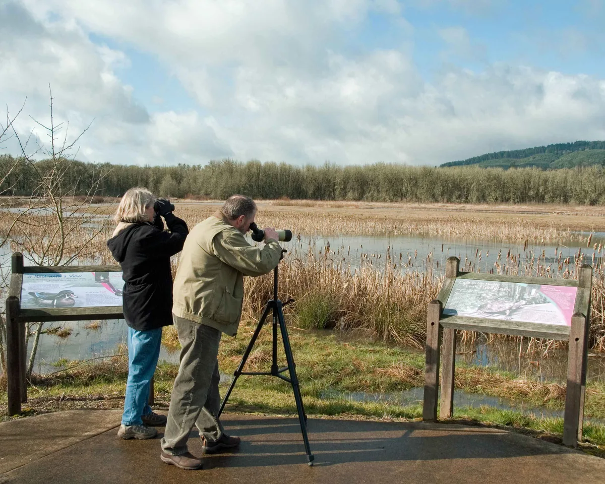 Field Identification