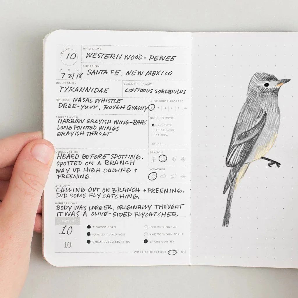 Field Sketching