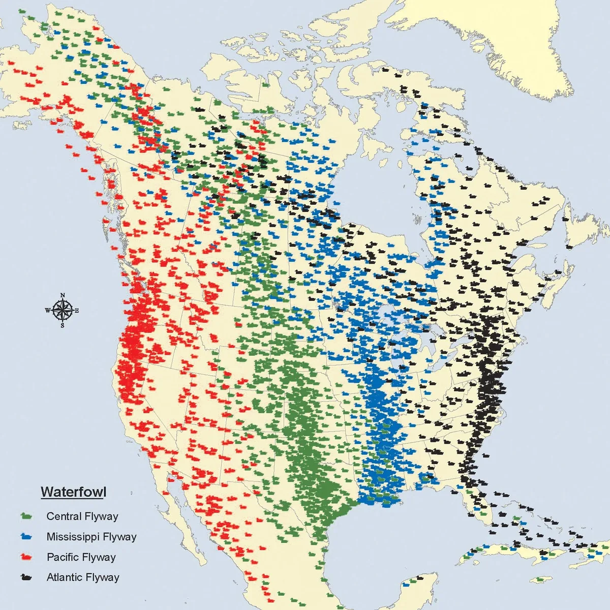 flyways