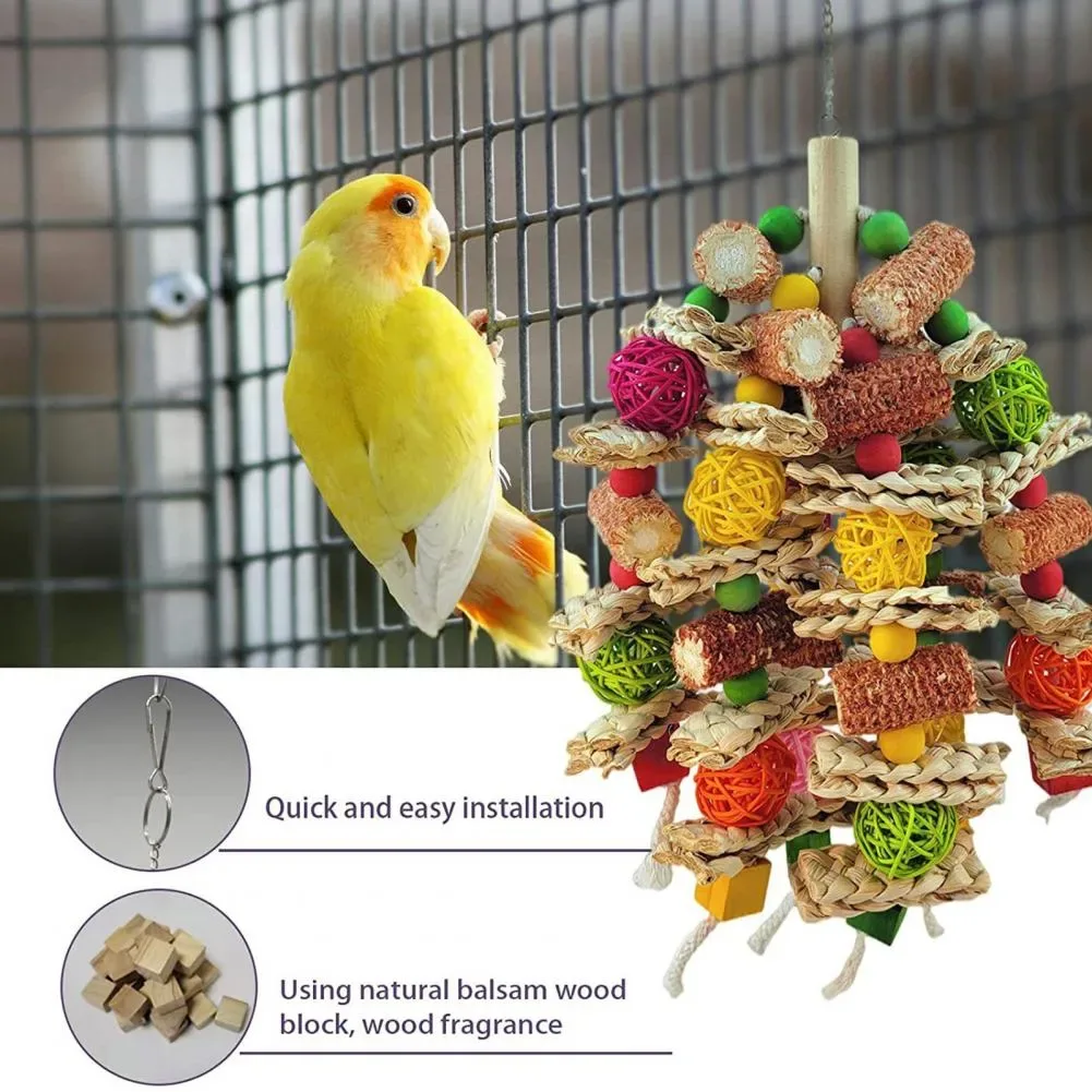 foraging enrichment