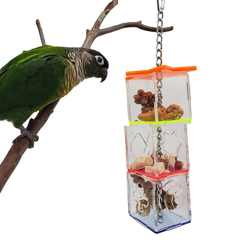 foraging enrichment