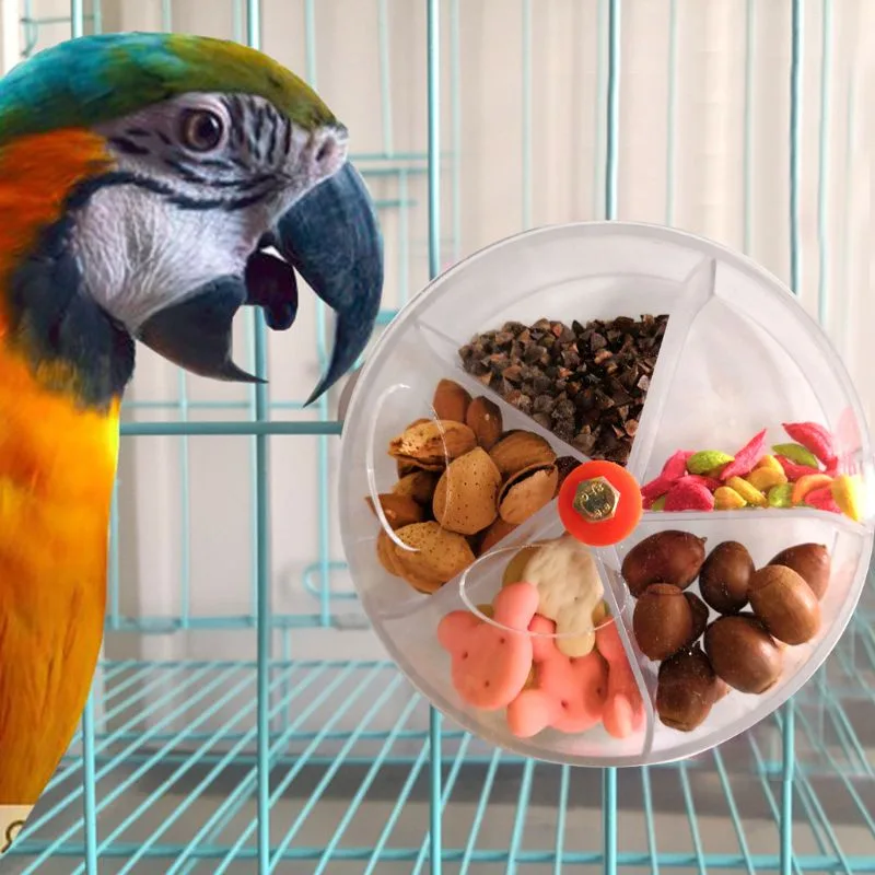 Foraging toys