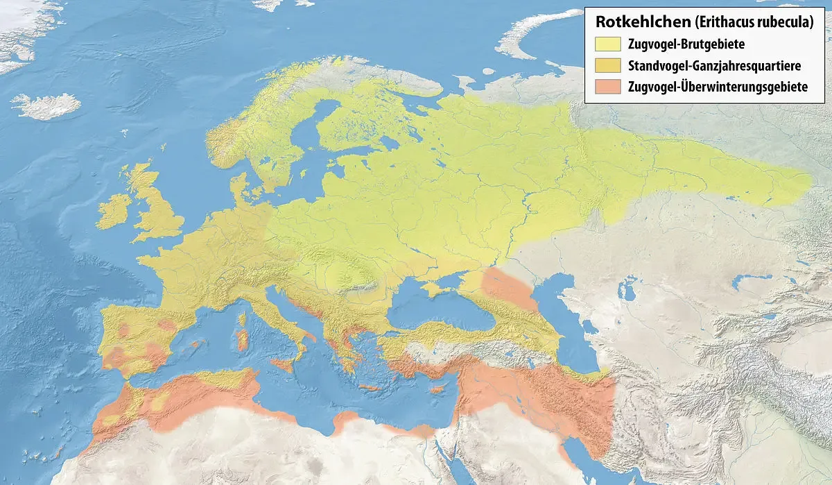 Geographical Spread