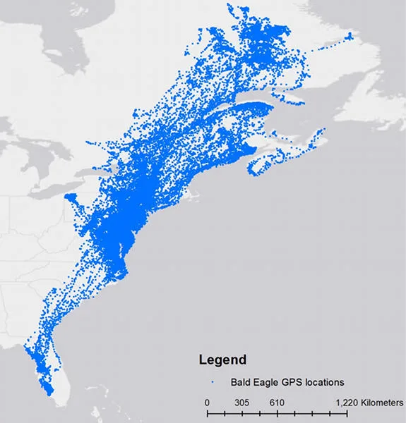 GPS telemetry