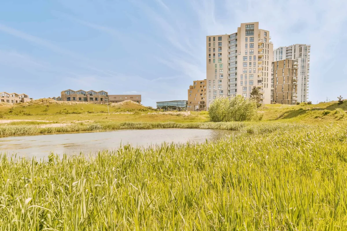 Habitat loss (wetlands draining, development)