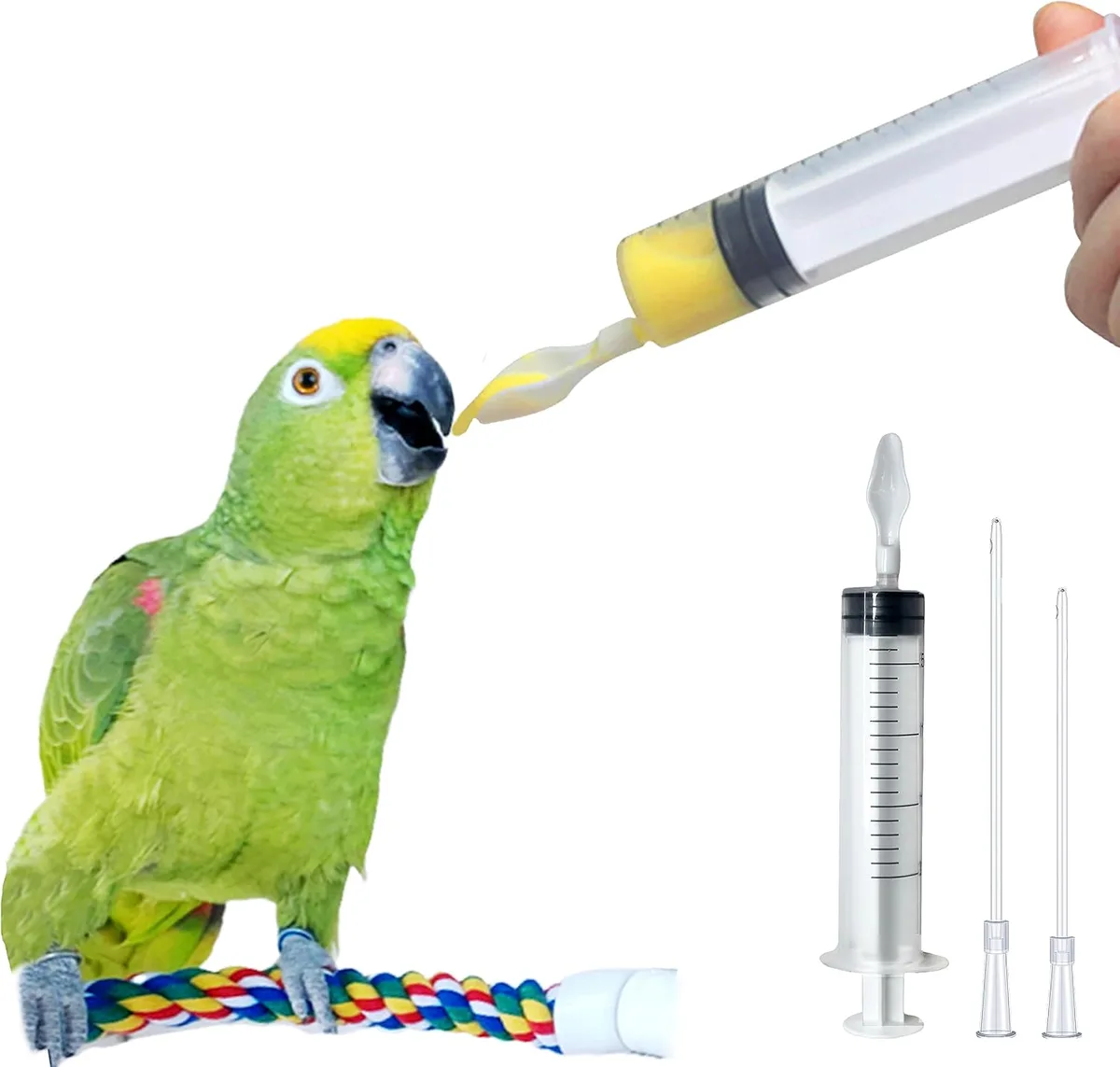 hand-feeding baby bird formula