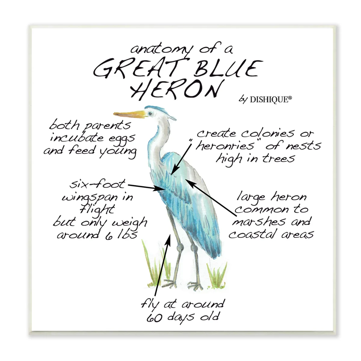 how herons hunt