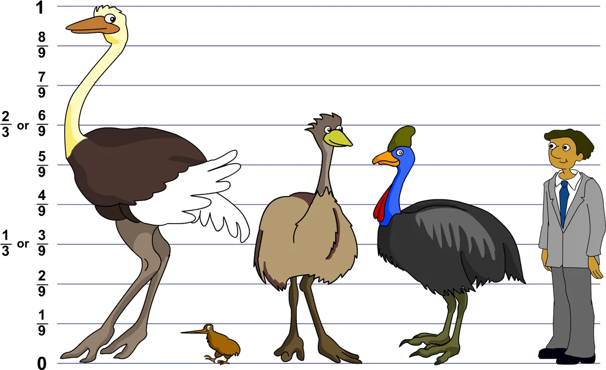 How We Measure "Smallest" in Birds