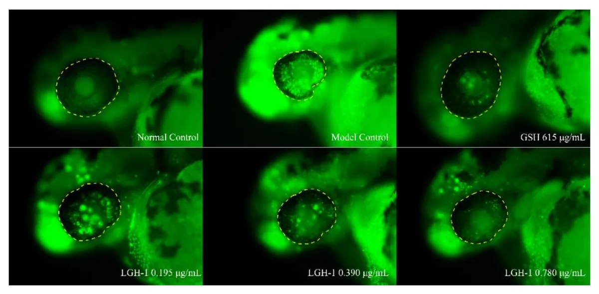 Lutein