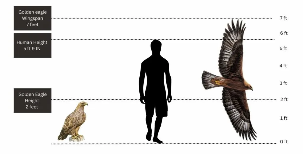 Measuring "Largest"