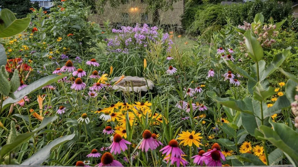 Native Planting