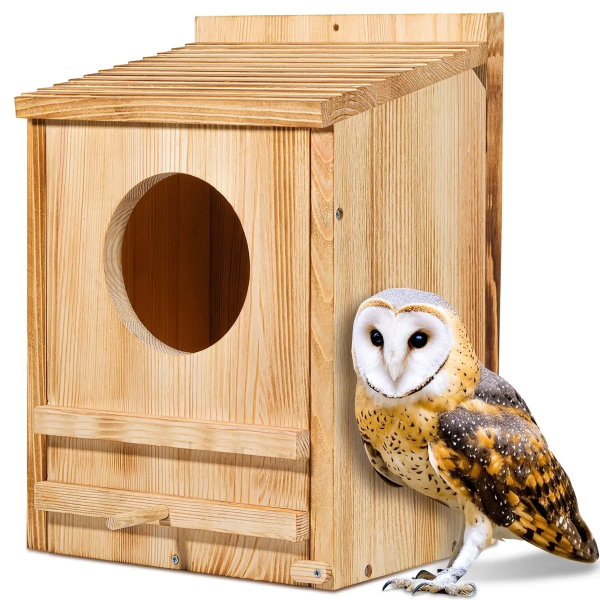 nest box