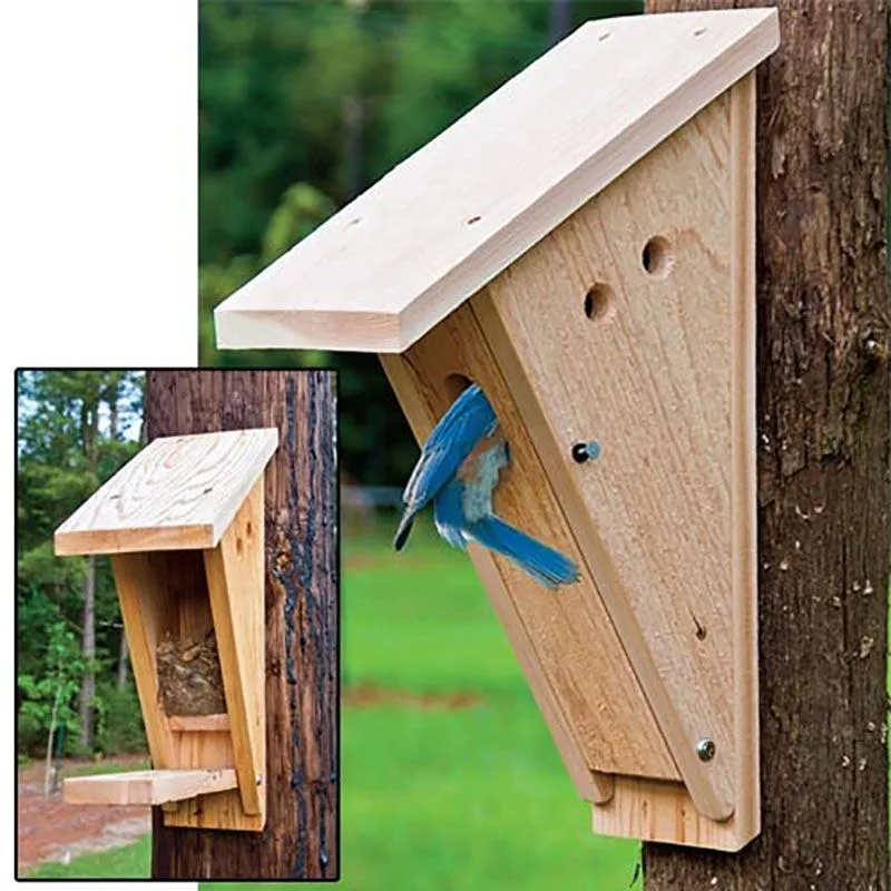nest box