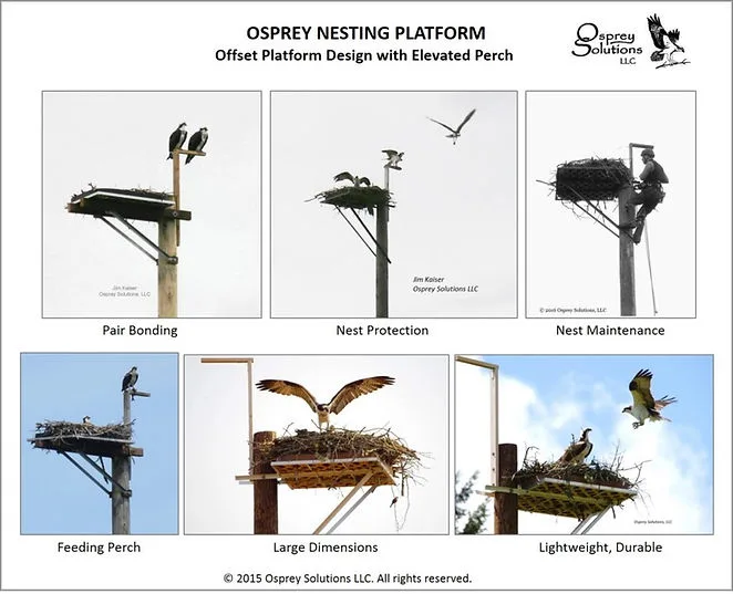 Nesting Platform