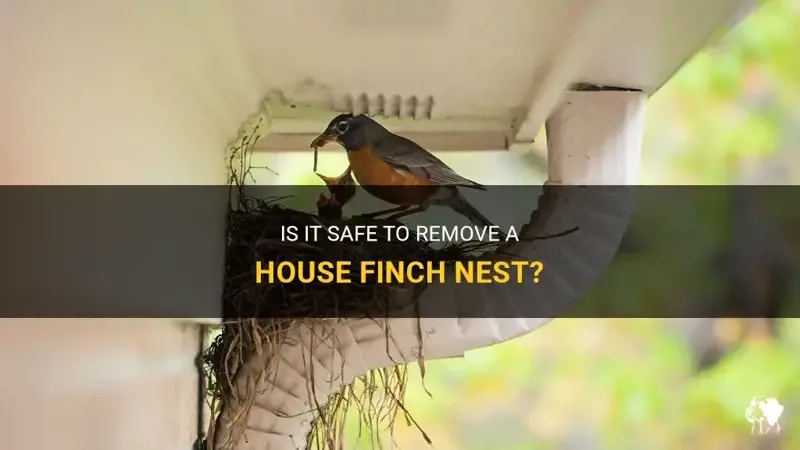 Nesting Sites